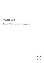 Феномен Я опыт личного мироощущения