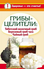 Грибы-целители. Тибетский молочный гриб. Березовый гриб чага. Чайный гриб