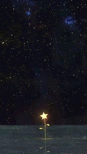Семь шагов до счастья.