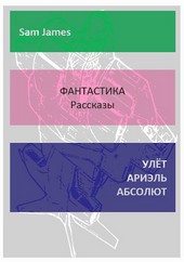 УЛЁТ АРИЭЛЬ АБСОЛЮТ