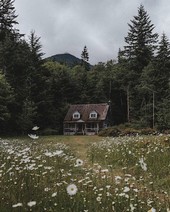 Два колдовских бессмертия