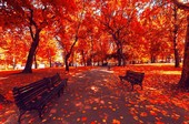 Осень