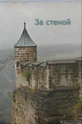За стеной