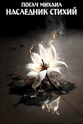 Наследник стихий