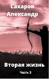 Вторая жизнь книга третья