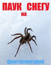 Паук на снегу.