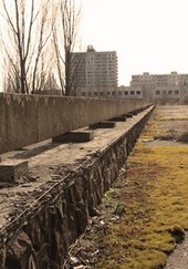 Черна кость