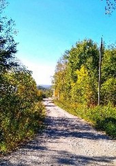 Орден Серебряного пути. Начало