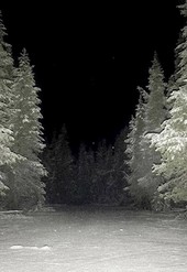 На деревню к дедушке
