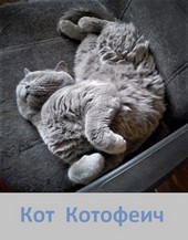 Кот Котофеич