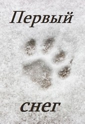 Первый снег