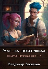 Маг на побегушках