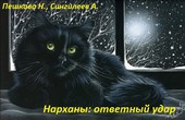 Нарханы: ответный удар