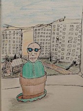 Конь ветра