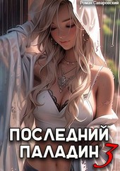 Последний Паладин. Том 3