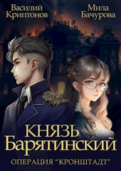 Князь Барятинский 4. Операция Кронштадт
