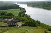 Тихое дно...