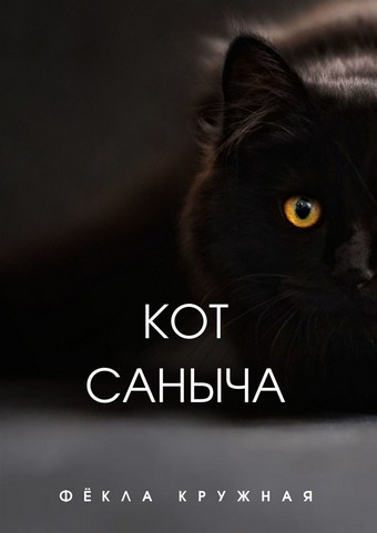 Кот Саныча
