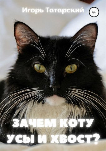 Зачем коту усы и хвост?