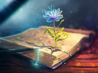 Истина тринадцати господ